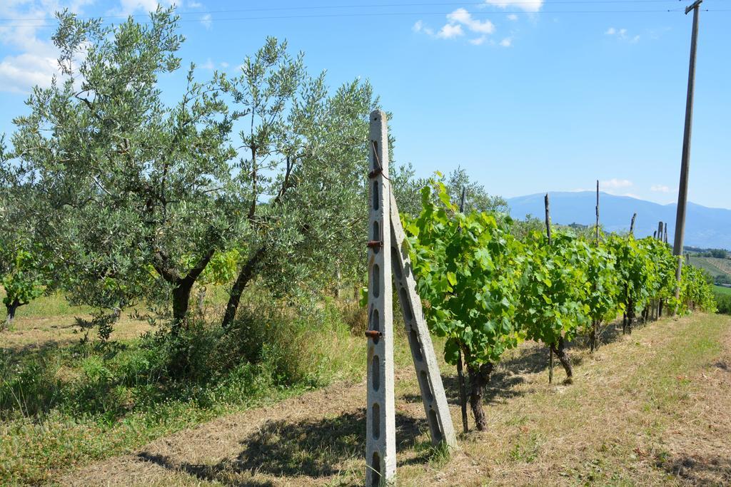 Casale Fusco Villa Spoleto Eksteriør bilde
