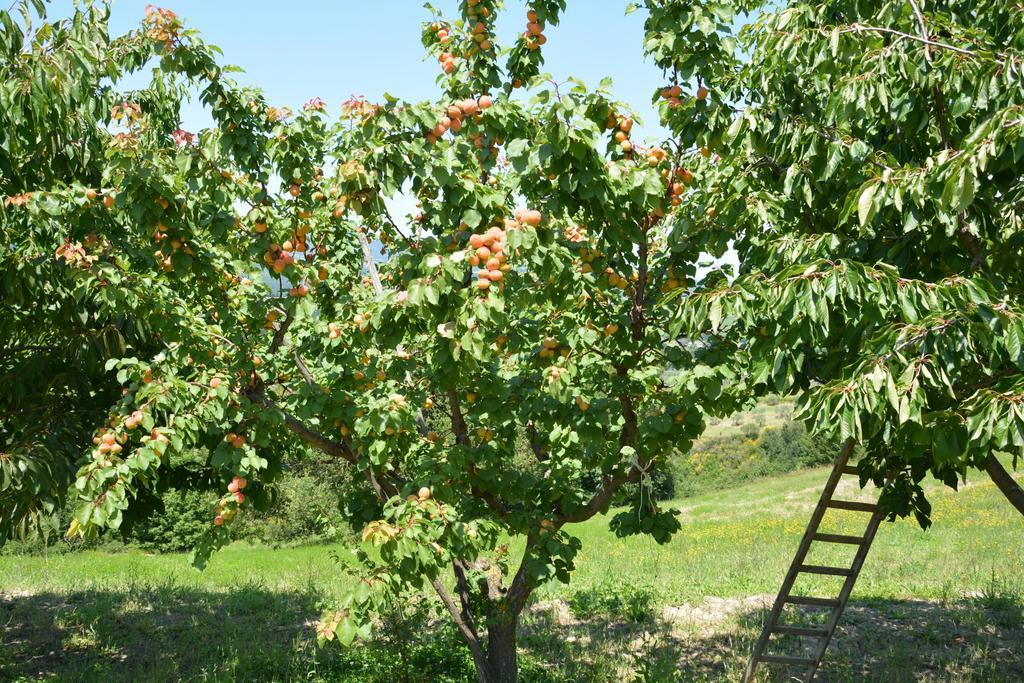 Casale Fusco Villa Spoleto Eksteriør bilde
