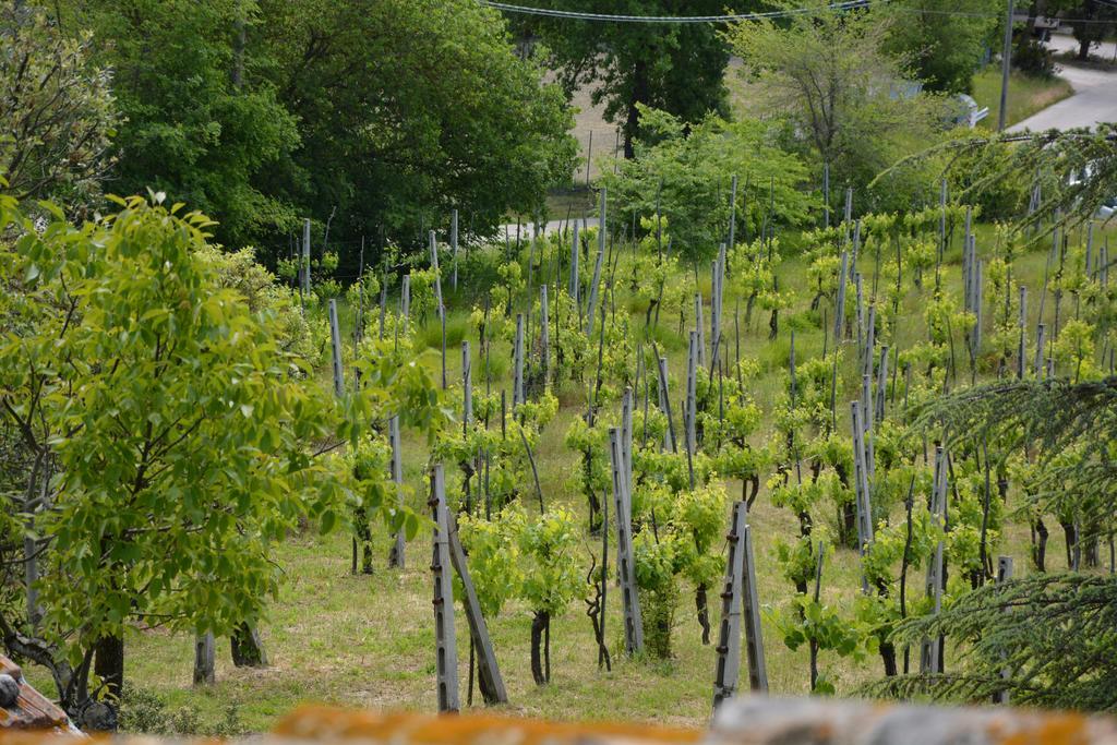 Casale Fusco Villa Spoleto Eksteriør bilde