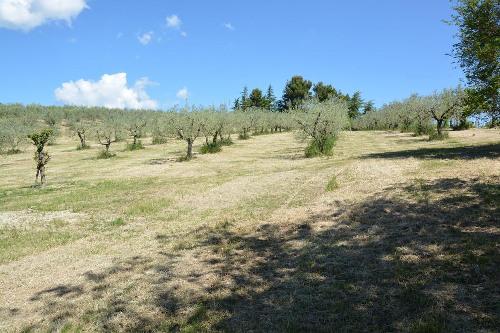 Casale Fusco Villa Spoleto Eksteriør bilde