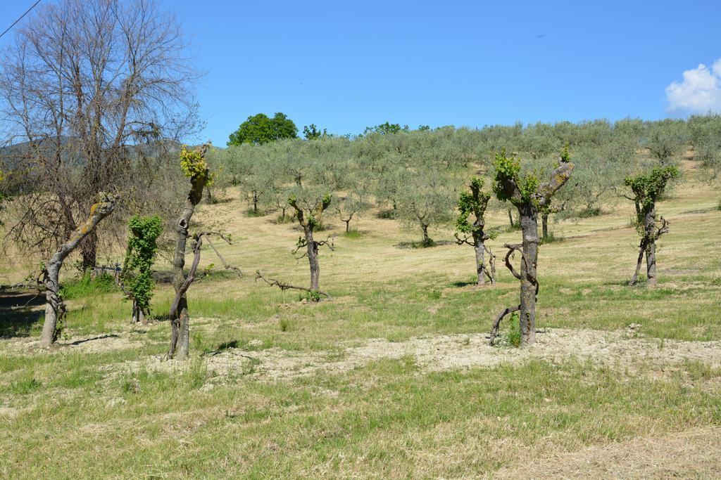 Casale Fusco Villa Spoleto Eksteriør bilde